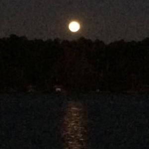 Meet your Posher, Carmen